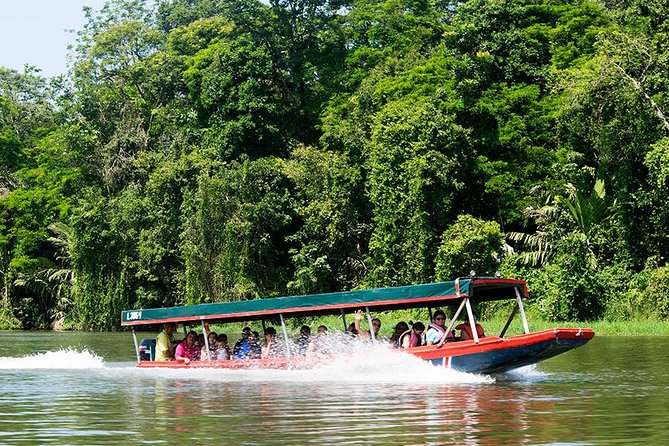 boat tours Tortuguero National Park costa rica la fortuna